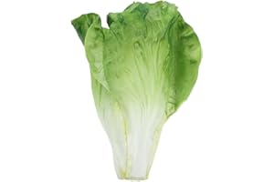 MUSISALY Simulated Lettuce Props Artificial Green Decor for DIY Crafts Easter Party Home Kitchen Decor Photo