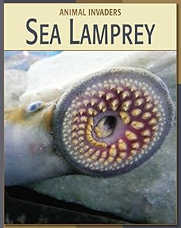 Sea Lamprey 21st Century Skills Library Animal Invaders