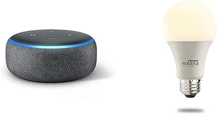 amazon echo dot with light bulb