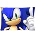 Custom Sonic the Hedgehog Actor Pillowcase Standard Size Design Cotton Pillow Case