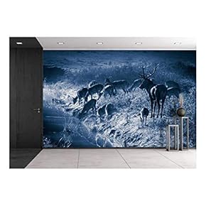 Deer Standing on The Frozen Meadow Near The River at Moonlight - Removable Wall Mural | Self-Adhesive Large Wallpaper - 66x96 inches