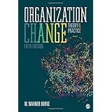 Organization Change: Theory and Practice