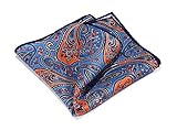 HISDERN Men's Paisley Pocket Square Handkerchief