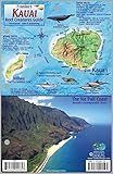 Kauai Hawaii Map & Coral Reef Creatures Guide Franko Maps Laminated Fish Card by