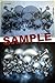 Schneidmeister Airbrush Stencil Field of Skulls (Size -Large-) Mylar Template, Two Layer Single Quickstep, EZ SuperStencil, SM-FOS001