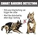 No Bark Shock Collar Anti Bark Electric Training Collar for Dogs Small Medium Large |Waterproof |USB Rechargeable| Vibration, Shock & Beep| Automatic Smart Protectionthumb 4