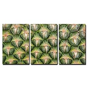 3 Piece Canvas Wall Art - Pineapple Skin Close Up - Modern Home Art Stretched and Framed Ready to Hang - 16"x24"x3 Panels