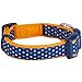 Blueberry Pet 6 Patterns Multicolor Polka Dot Neoprene Padded Adjustable Dog Collar in Passion Orange, Small, Neck 12