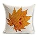 Wonder4 Geography Theme Throw Pillow Covers Home Decorative Map Art Throw Pillow Cases Couch Covers Decoration, Home Sofa Bedding Set of 2 (18x18)