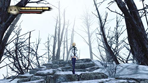 Anima Gate of Memories Arcane Edition (Nintendo Switch)
