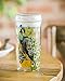 Cypress Home Proud Peacock Double Wall Glass Travel Coffee Cup with Lid