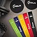 Ultimate Gliding Discs & Resistance Bands Set | 2 x Fitness Core Sliders & 5 x Workout Bands Full-Body Training at Home & Office | Build Muscle Strength, Stability & Stamina eBook