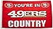 Fremont Die NFL San Francisco 49ers 3' x 5' Flag with Grommets, 3 x 5-Foot, In Country