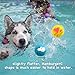 HOLYSTEED Squeaky Dog Balls Soft Latex Squeaky Dog Toy Fetch Play Balls Toy for Small Medium Pets