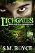 Lichgates: Book One of the Grimoire Saga (an Epic Fantasy Adventure)
