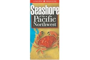 Seashore of the Pacific Northwest