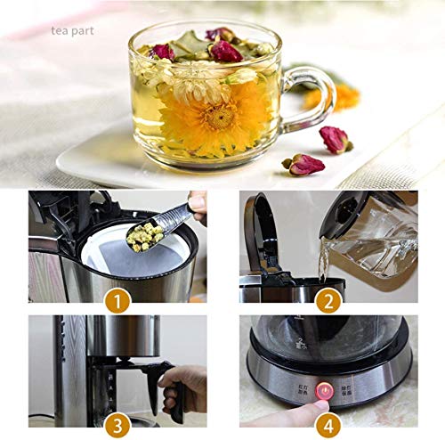 YQCX Filter-Kaffeemaschine, Tropfkaffee-Kaffeemaschinen Edelstahl Mit 1,25L Glaskanne Abnehmbarer Filter-Kaffeemaschine… – Bild 7