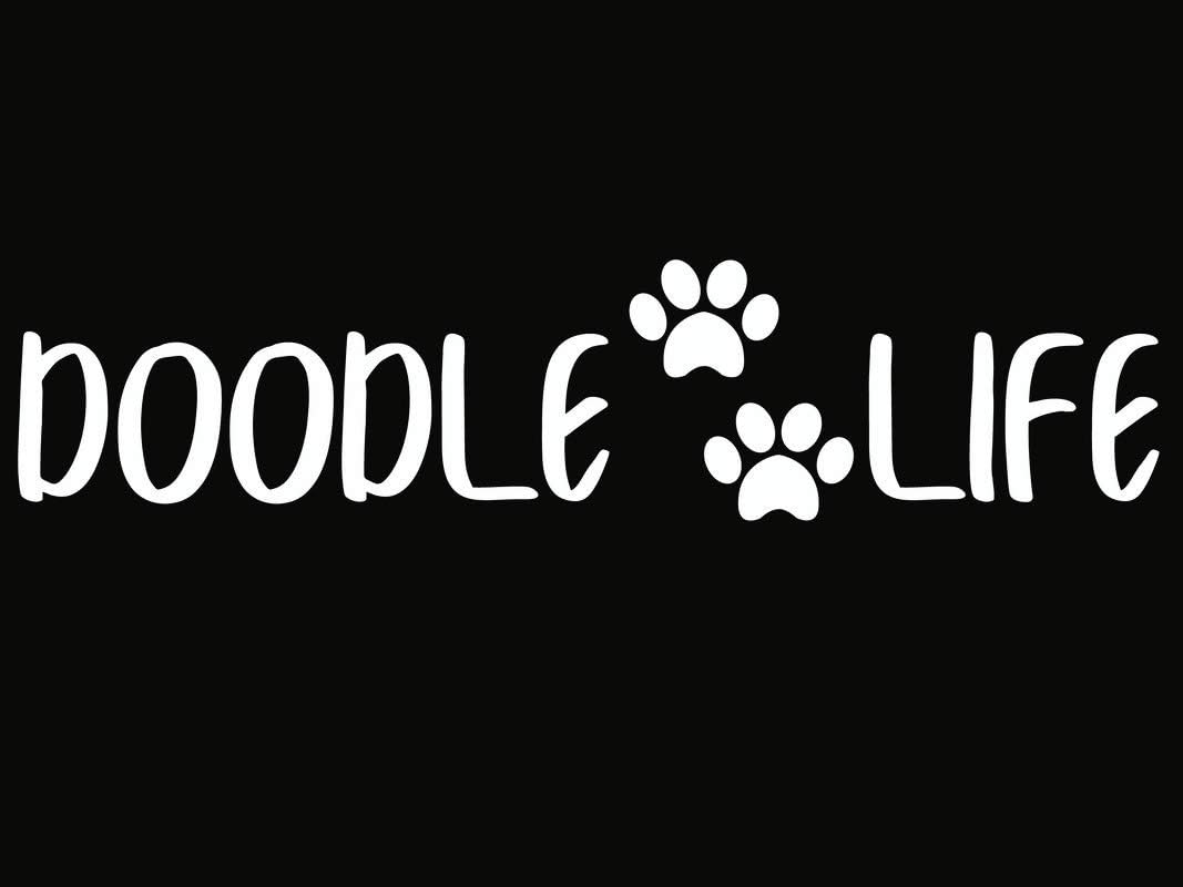 Creative Concepts Ideas Doodle Life Paw Prints CCI Decal Vinyl Sticker|Cars Trucks Vans Walls Laptop|White|7.5 x 2.2 in|CCI2759