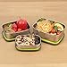 Bento Lunch Box Containers – Healthy Takeaway No More Leaks Airtight Vacuum Suction Lid BPA Free - Easy Clean in Dishwasher Strong Durable Stainless Steel - Set of 3