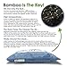 Moso Bamboo Charcoal Air Purifying Bag (6 Pack | 200g & 75g Bags) Activated Charcoal Odor Absorber, Car Air Purifier, Shoe Odor Eliminator, Closet Deodorizer Breathe Eco Green Air Freshener For Home