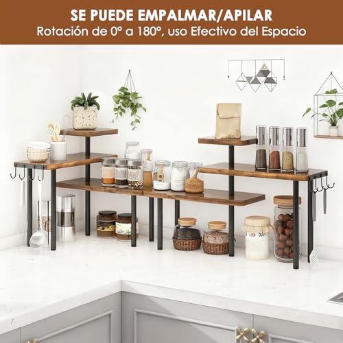COSENGA Organizador de Encimera de 3 Niveles, Organizador de Especias para Gabinete Giratorio 360º, Soporte de Especias para Despensa para Despensa Organización y Almacenamiento