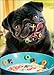 Dog Alphabet Cereal Funny Pug Birthday Card
