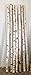 Wilson Decorative Birch Poles 4ft (4 Poles 1 1/2