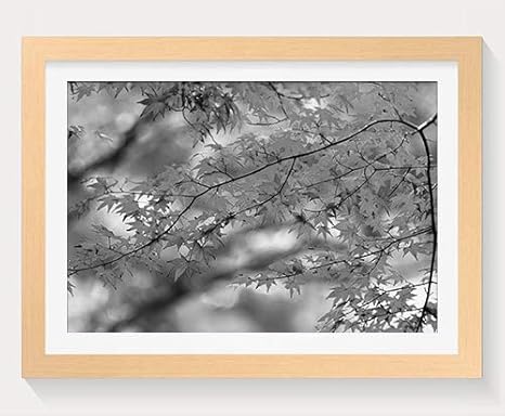 Amazon Co Jp 赤い葉 自然 4354 木製フォトフレーム 写真フレーム 木製 の枠 装飾画 壁掛け 壁飾り 壁ポスター 木製タグ おしゃれ ウォールアート アートパネル 壁の絵 インテリア絵画 額縁 部屋飾り 贈り物 プレゼント 黒と白 横 30 40cm ホーム キッチン
