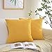Kevin Textile Decor Soft Solid Velvet Toss Throw Pillow Cover Fashion Striped Decorative Pillow Case Handmade Cushion Cover for Couch, 20x20 inches, 2 Pieces, Primrose Yellow