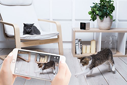 Petcube First Generation Camera for Pets with HD 720p Video, Wi-Fi and Two-Way Audio - Thumbnail 6