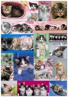 Educa u2013 1000 Teile u2013 Keith Kimberlin Cat Collage: Amazon.de: Spielzeug