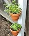 Plant Pot Hanger (6 pack)thumb 2