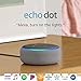 Echo Dot (3rd Gen) - Smart speaker with Alexa - Heather Gray