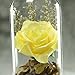 Yeefant Micro Landscape Decoration, Romantic Roses in a Glass Dome on Wooden Base with Light for Birthday Gift Bedroom Livingroom Decor,4x4x4.3 Inch (Yellow)