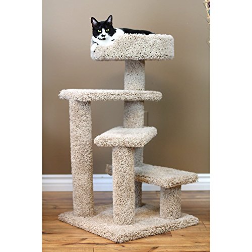 Cat Trees Carpet Covered Works Of Art? Cool Cat Tree Plans
