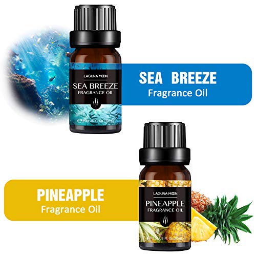 Fragrance Essential Oil - Organic 6pc Holiday Breeze Scent Gift Set - Perfect for Candle Making, Soap Scents, Slime… - Image 2
