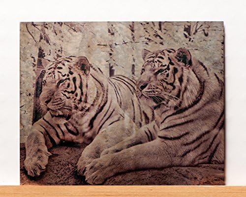 Metal Art: Infrared Tiger Print - Photo Transfer Metal Artwork on Aged Aluminum 8x10 (Art for the Big Cats series - artwork for charity)