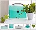 Shuter 13-Pockets A4 Expanding Accordion File Folder with Handle, Buckle Closure and Subject Labels.(Green)