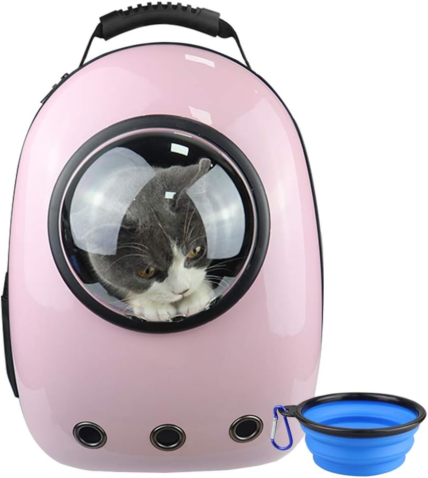 bag for cat with window