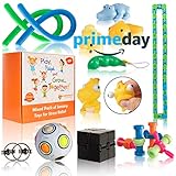 Born2Calm ADHD Fidget Toys for Adults and Kids - Fidget Box with Fidgets Sensory Figets Toys - Fidget Toys for Sensory Kids