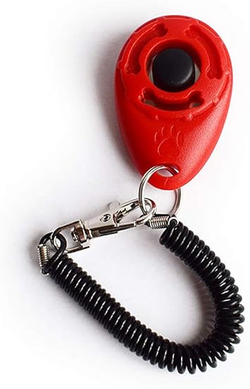 Amazon 愛犬 愛猫しつけ 音が大きい 訓練用品 3 5労働日以内配達 Shangjin 犬笛 通販