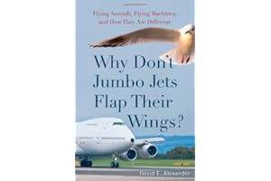 Why Don't Jumbo Jets Flap Their Wings?: Flying Animals, Flying Machines, and How They Are Different