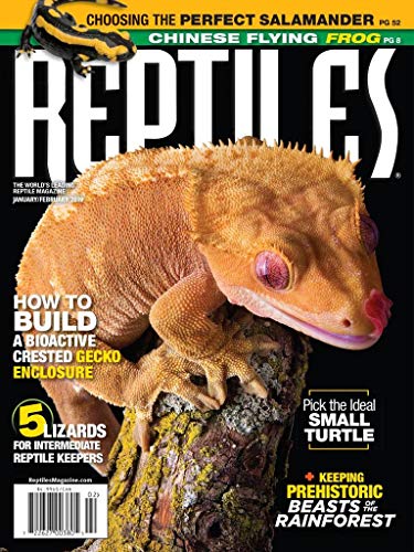 Reptiles