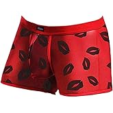 Evankin Men's Underwear Sexy Mesh Breathable Boxer Briefs Low Rise Cool Valentines Boxers Pack Set