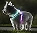 ZNFSZ - Multicolor LED Illuminated, Reflective Dog Harness (X-Large)
