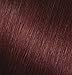 Garnier Nutrisse Nourishing Hair Color Creme, 56 Medium Reddish Brown (Sangria) (Packaging May Vary)