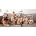 Outward Hound Hide A Squirrel Plush Dog Toy Puzzle, Medium