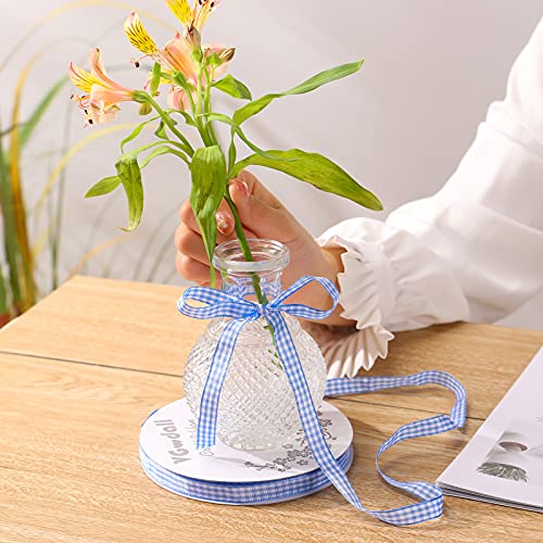 VGoodall Lake Blue Gingham Ribbon, 3/8 x 50Yd Picnic Craft Ribbon Lake Blue Ribbons for Hair Accessories Craft and Christmas Gift Wrapping