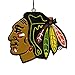 FOCO NHL Chicago Blackhawks Resin Logo Ornament