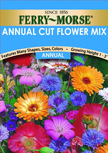 Ferry-morse annual cut flower mixture  seeds (annual)